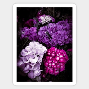 Purple Floral Garden Plants Sticker